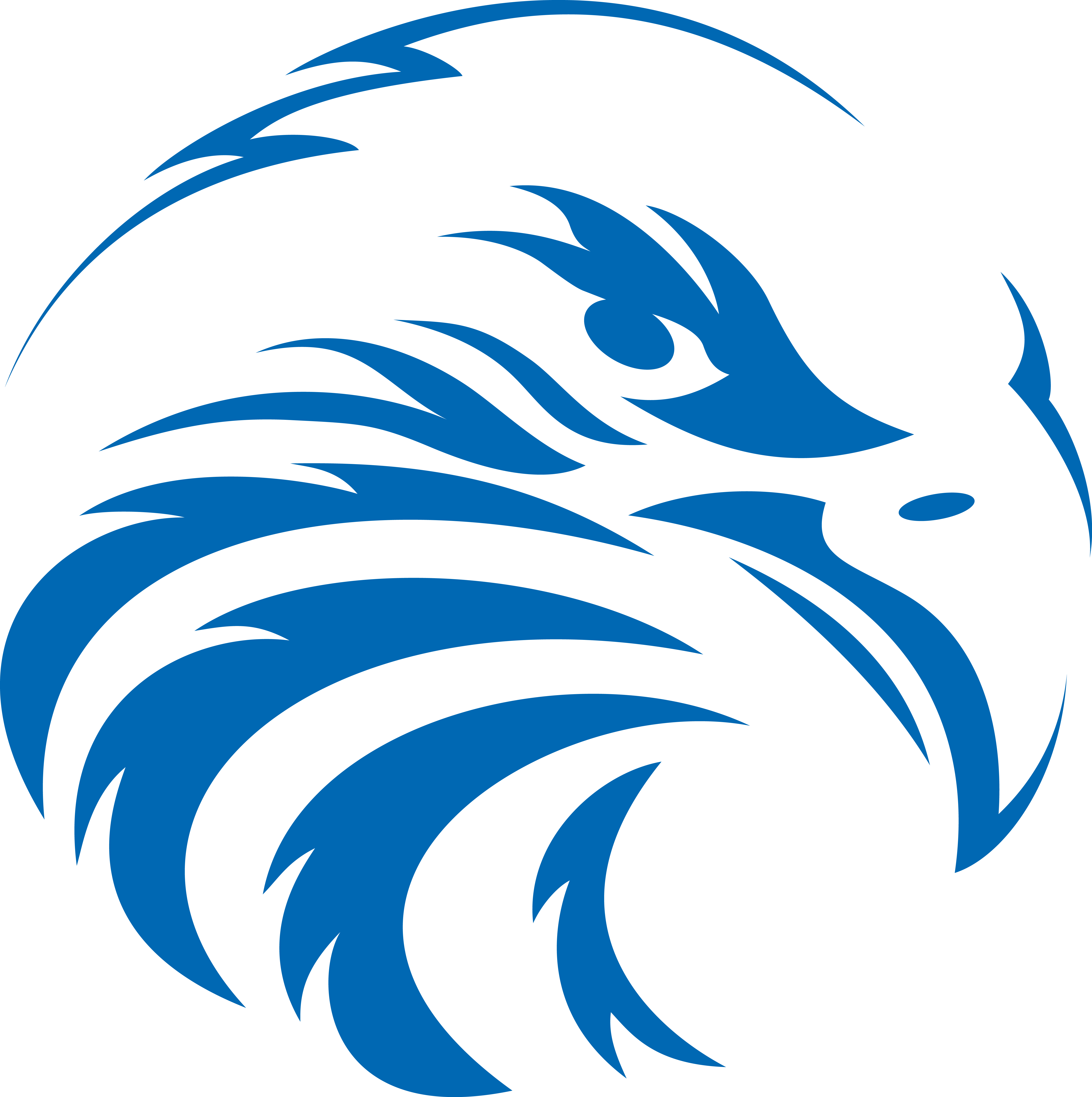 Cocalico School District's Logo